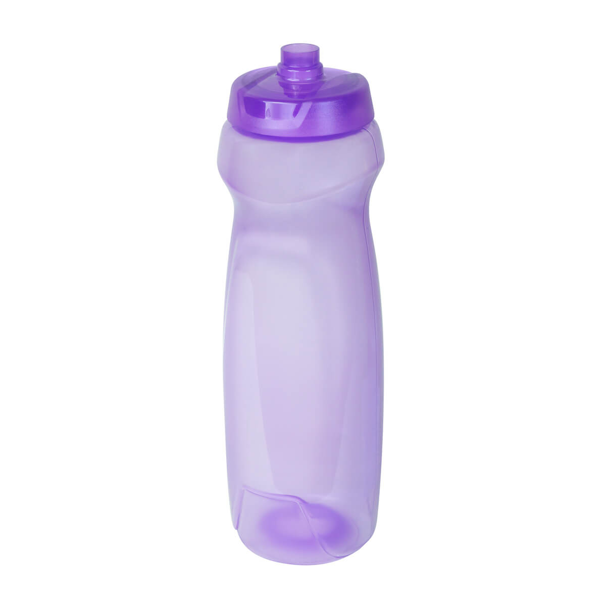 CC2247-MORADO
